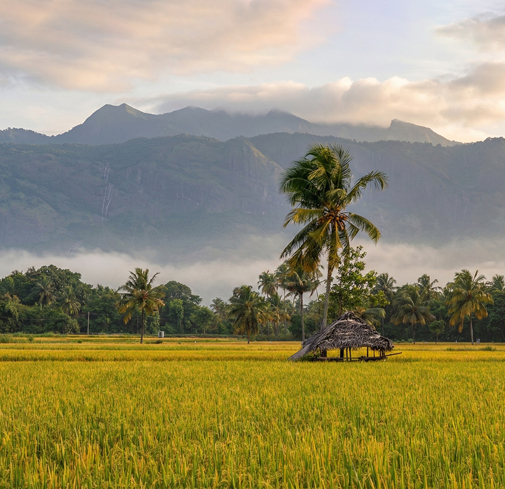 MIDCUTICON Kerala 2026 Conference